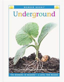 Underground cover