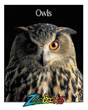 Owls (Wildlife Ed.) cover
