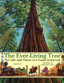 The Ever-Living Tree: The Life and Times of a Coast Redwood cover