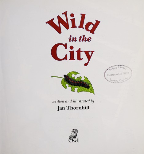 Wild in the City cover