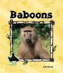 Baboons cover