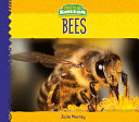Bees (Animal Kingdom) cover