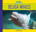 Beluga Whales (Animal Kingdom) cover