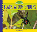 Black Widow Spiders cover