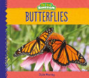 Butterflies (Animal Kingdom) cover