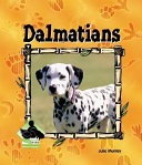 Dalmatians cover