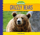 Grizzly Bears cover