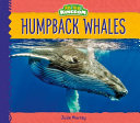 Humpback Whales cover