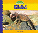 Iguanas cover