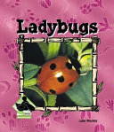 Ladybugs (Animal Kingdom) cover