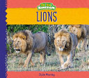 Lions (Animal Kingdom) cover