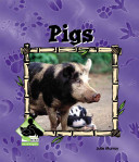Pigs (Animal Kingdom) cover
