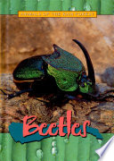 Beetles cover