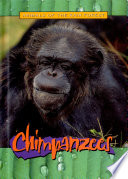 Chimpanzees cover