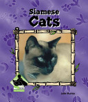 Siamese Cats cover
