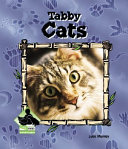 Tabby Cats cover