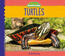 Turtles cover