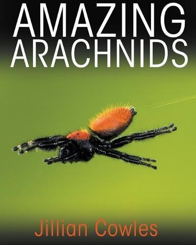 Amazing Arachnids cover