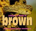 Living in a World of Brown: Where Survival Means Blending In cover