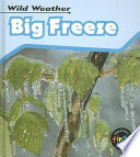 Big Freeze cover