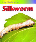 Life Cycle of a Silkworm cover