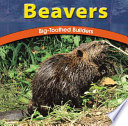 Beavers: Big-Toothed Builders cover