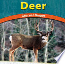 Deer: Graceful Grazers cover