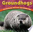 Groundhogs: Woodchucks, Marmots, and Whistle Pigs cover