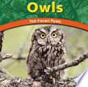 Owls: Flat-Faced Flyers cover
