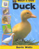 Duck cover