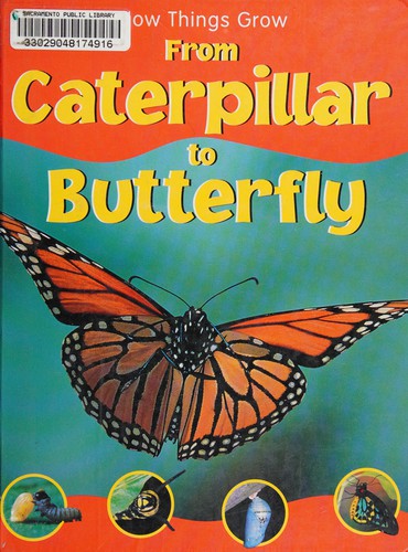 From Caterpillar to Butterfly cover