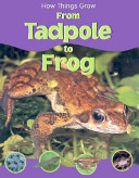 From Tadpole to Frog cover