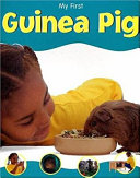 Guinea Pig cover
