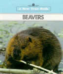 Beavers cover