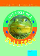 Bullfrog cover