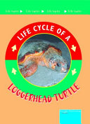 Loggerhead Turtle cover