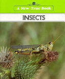 Insects cover