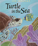 Turtle in the Sea cover