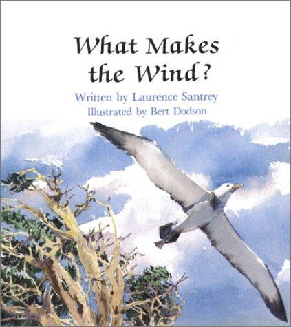 What Makes the Wind? cover