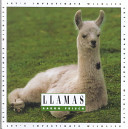 Llamas cover
