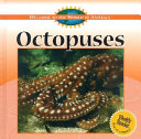 Octopuses cover
