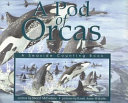 A Pod of Orcas cover