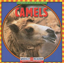 Camels cover