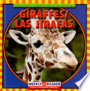 Giraffes cover
