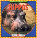 Hippos cover