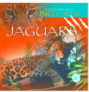 Jaguars cover