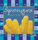 Sponges cover