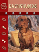 Dachshunds cover