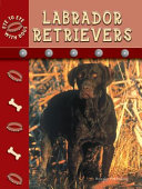 Labrador Retrievers cover