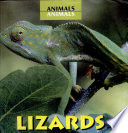 Lizards cover